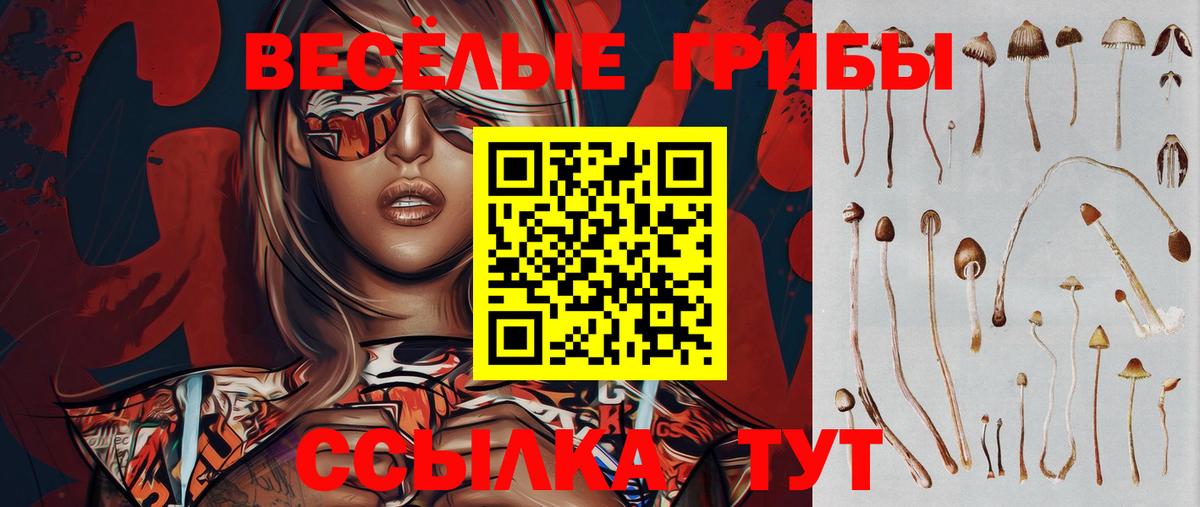 Галлюциногенные грибы Cubensis Избербаш